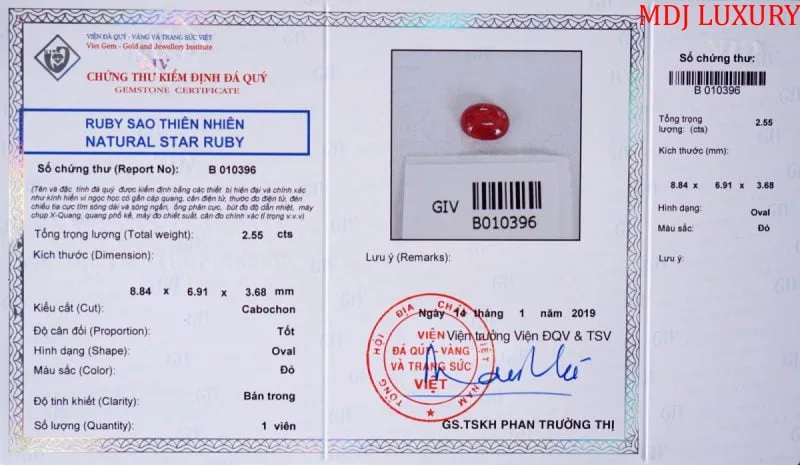 Mat trong CT Da quy